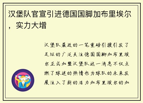 汉堡队官宣引进德国国脚加布里埃尔，实力大增
